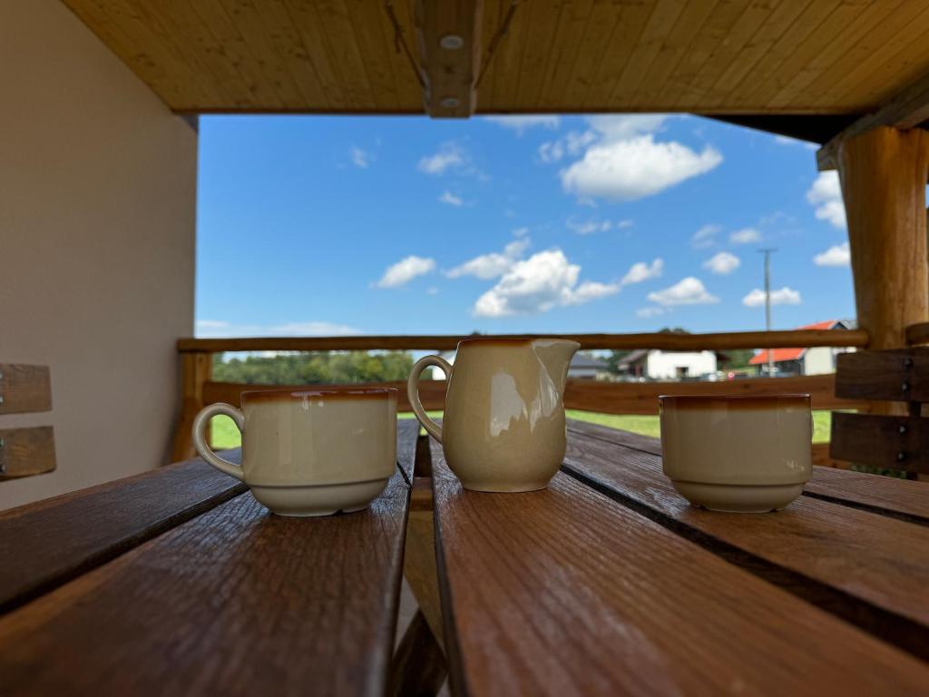 Widok z tarasu na staw i okolicę