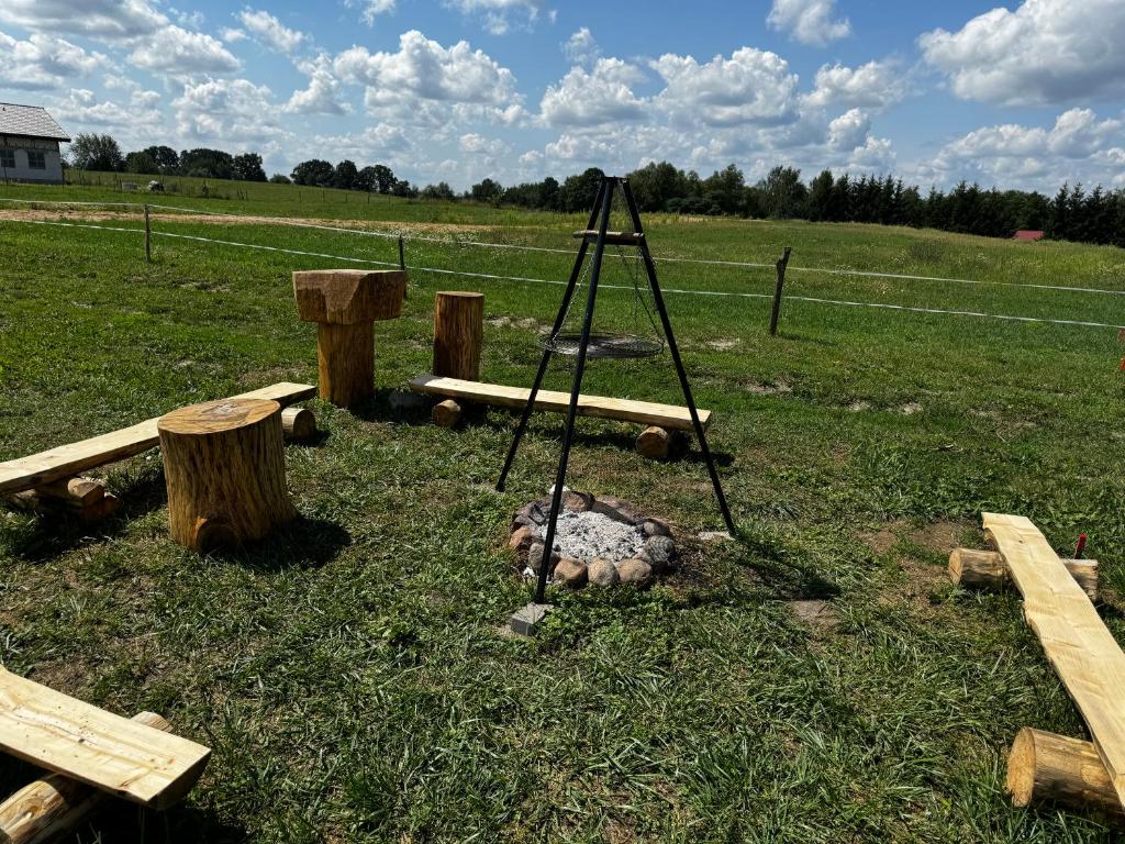 Strefa ogniska w ogrodzie